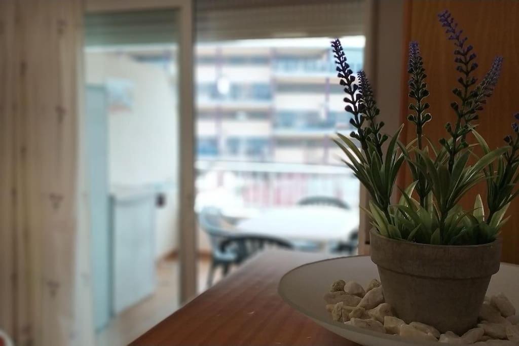 Acogedor Apartamento En La Playa De Canet Canet d'En Berenguer Eksteriør billede